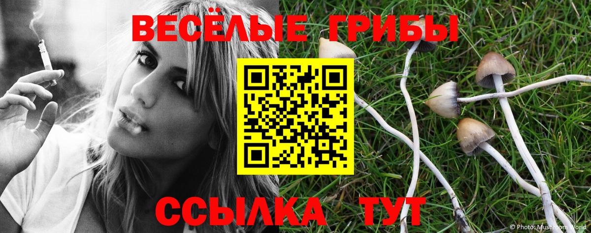 Вязники  Галлюциногенные грибы MAGIC MUSHROOMS  Вход с VPN 