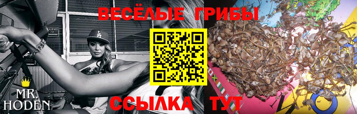 Галлюциногенные грибы ЛСД Вязники